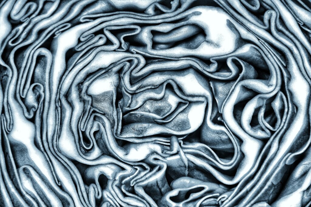 Kunstfoto, kål, baggrund, struktur, fine art wallpaper